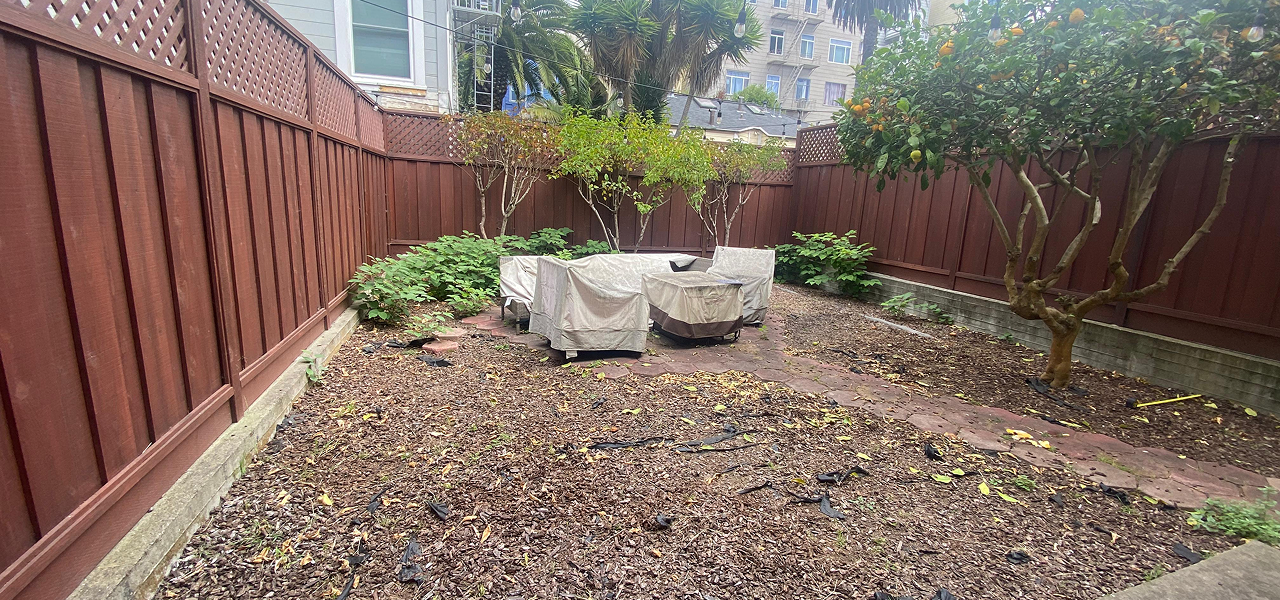 WhatsApp Image 2026-02-10 at 18.15.46 1